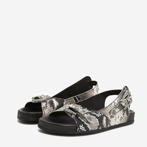 NWOB The Kooples Snakeskin Motif Western Flat Sandals Size 6